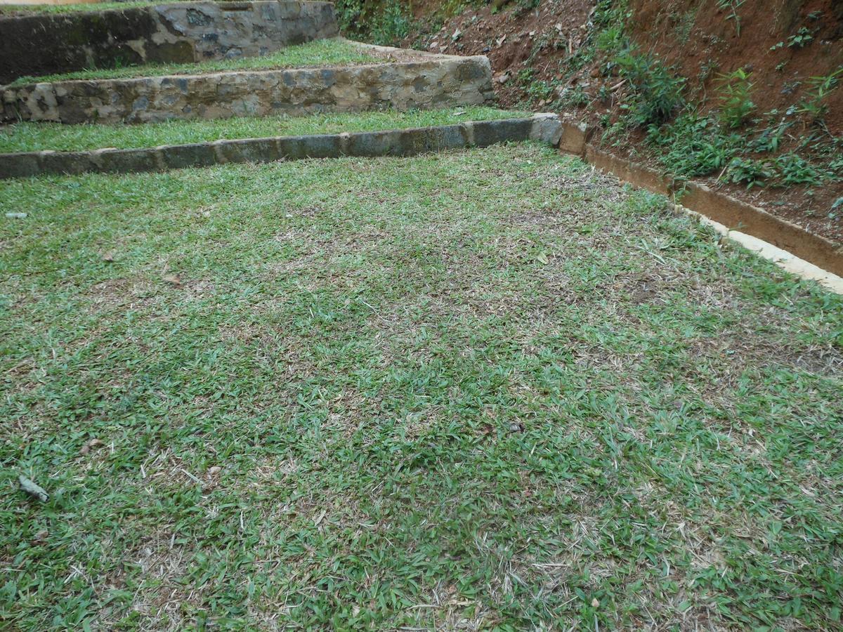 Lavender Hills Home Stay Kandy Exteriér fotografie